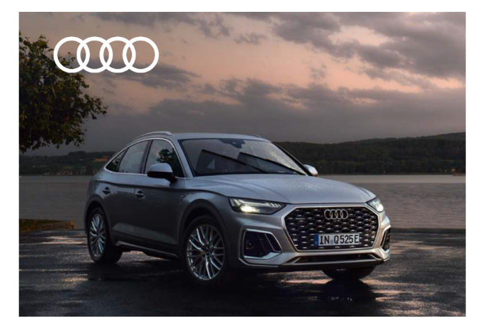 SCHIMB STERGATOARE AUDI