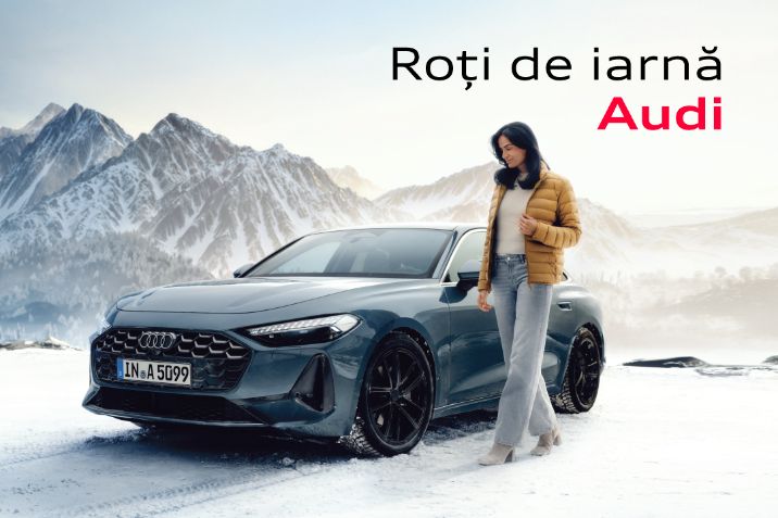 ACCESORII Q4 AUDI