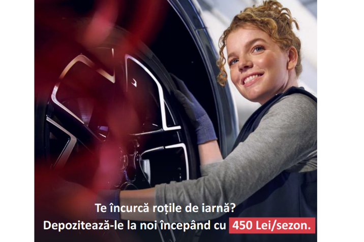 DEPOZITARE ROTI