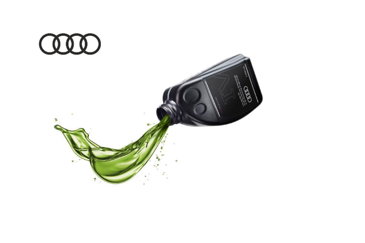 SEGMENT 2 AUDI