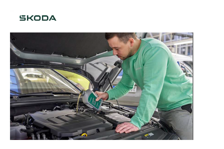 SEGMENT 2 SKODA