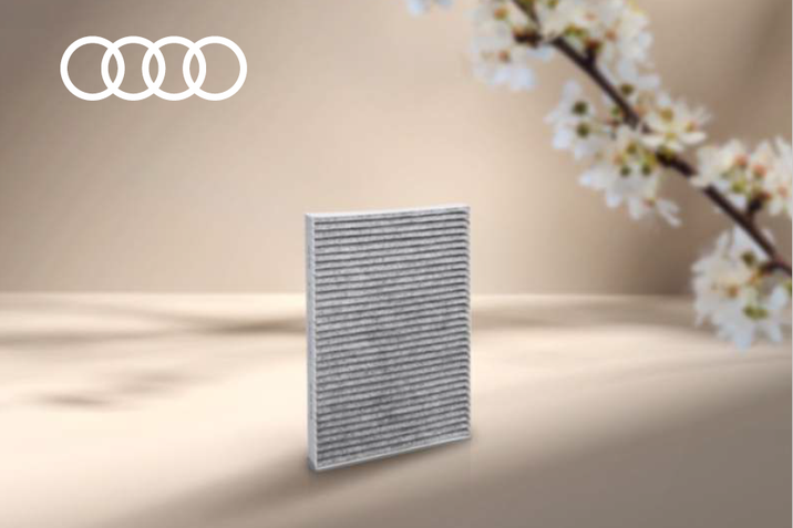 Segment 3 Audi