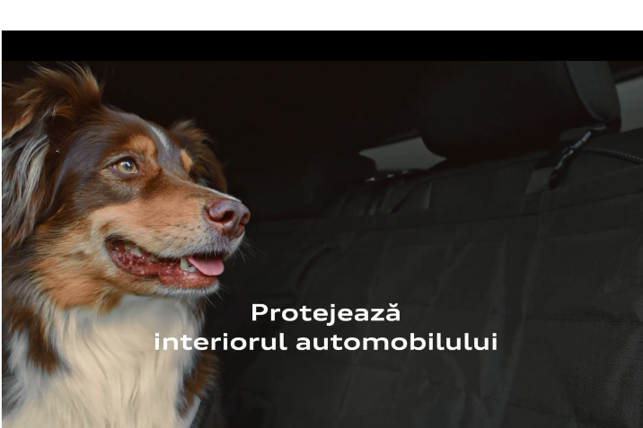 IMAGINE ACCESORII AUDI